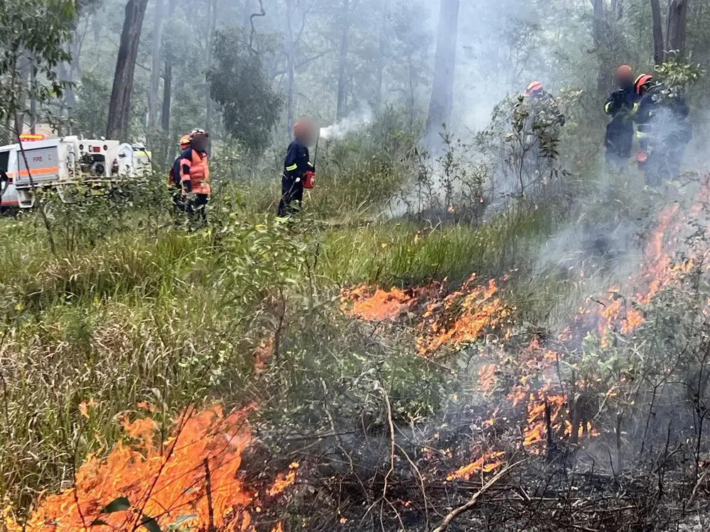 Crew working a low-intensity prescribed burn through grassy bushland, the appliance holding the track behind them.