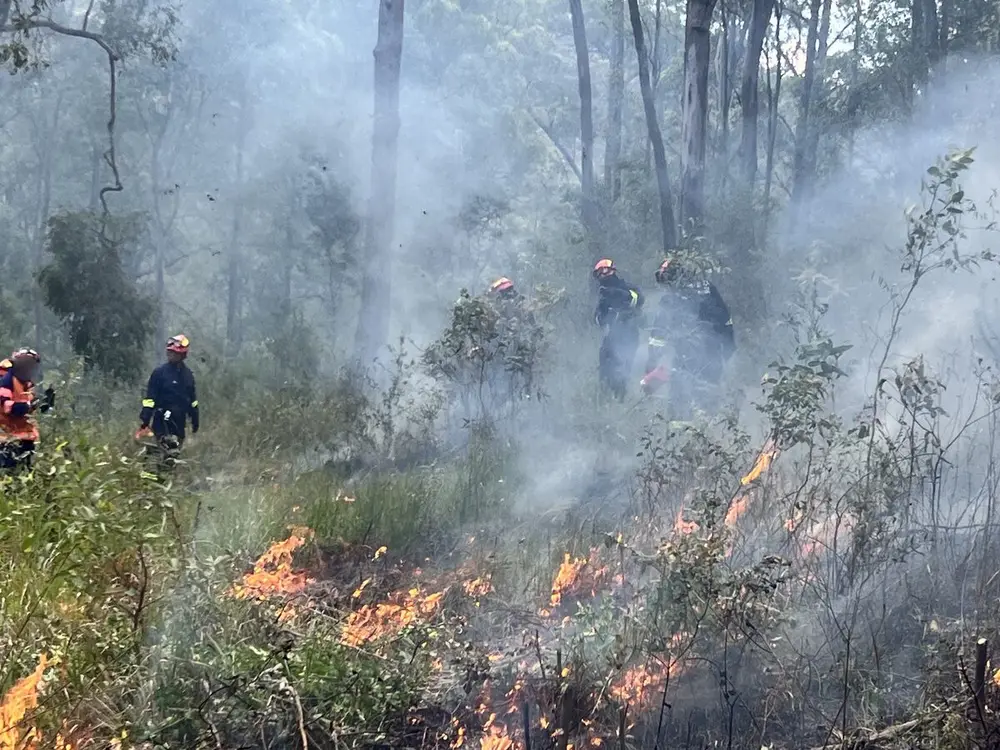 Moving through smoke on the edge of a prescribed burn.