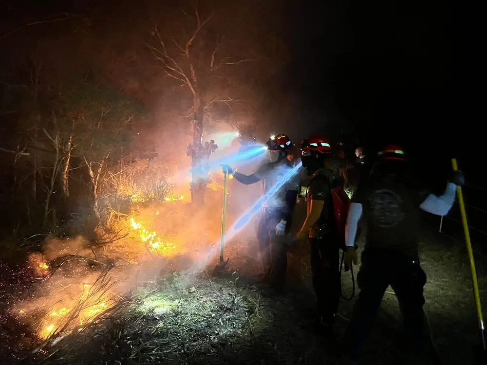 A prescribed burn after dark, the crew working the fire edge by head torch.